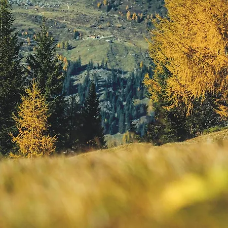 Appartamento Auf 1700m Hoehe Unterweg