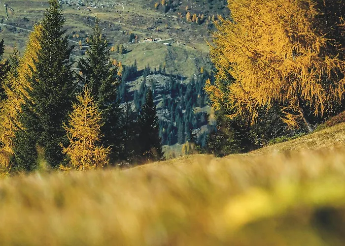 Apartment Auf 1700m Hoehe Unterweg