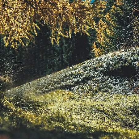 Auf 1700m Hoehe Apartman Unterweg