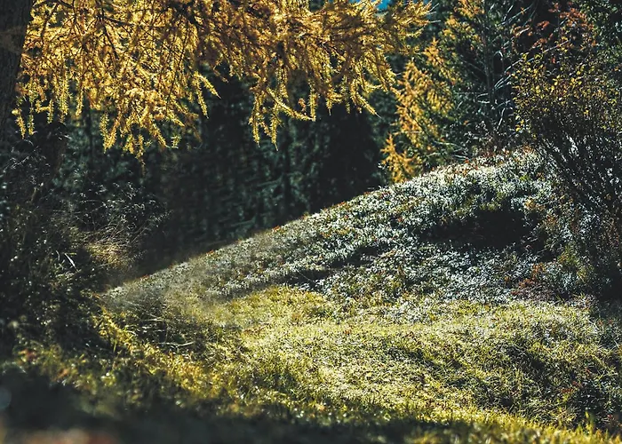 Auf 1700m Hoehe Apartman Unterweg